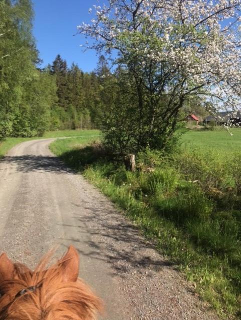 Stenlid - Med Naturen Och Lugnet I Fokus Veddige Exterior photo